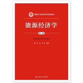 中国能源报告（2006）：战略与政策研究