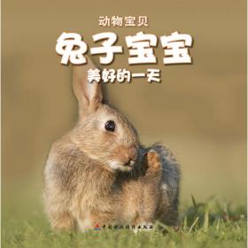 兔宝宝益智启蒙书·找不同·3