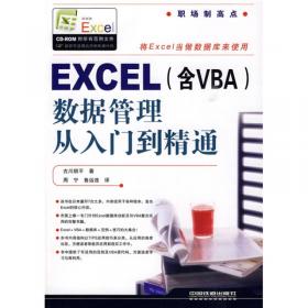 EXCEL（含VBA）数据管理从入门到精通