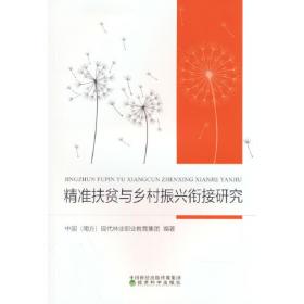 中国开放褐皮书（2018—2019）：建设更高水平开放型经济新体制