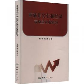 西藏社会发展调查研究