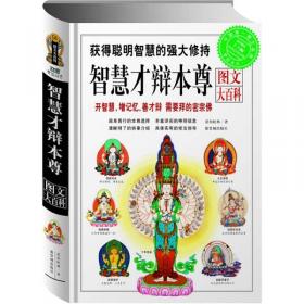 图解西藏医心术