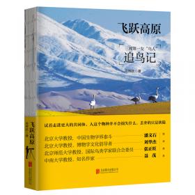 飞跃·汉语初级教程：学生用书（上册 简繁体汉字）（附光盘）