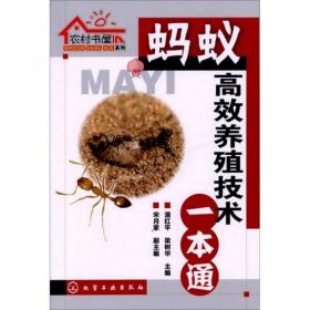 农村书屋：蚂蚁高效养殖有问必答