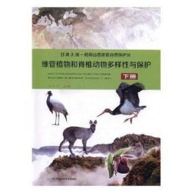 阅读理解理论课