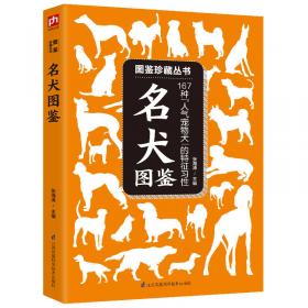 名犬图鉴：331种世界名犬驯养与鉴赏图典