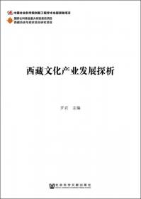 西藏特色经济发展研究（全2卷）