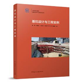 基坑工程20年---《中国建筑学会建筑施工分会基坑工程专业委员会》二十周年纪念文集