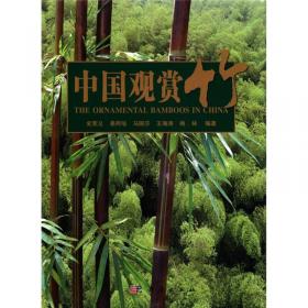 大熊猫主食竹生物多样性研究(精)