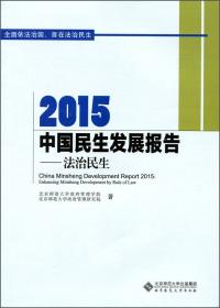 2013中国战略人才发展报告