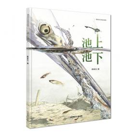 你睡着了吗？（中国原创生态绘本，唤醒环境保护意识）