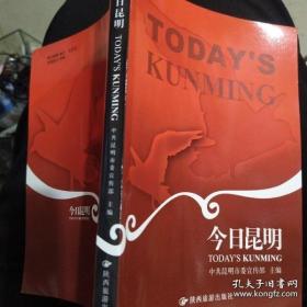 今日水墨