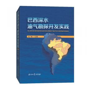 巴西黄皮书：巴西发展报告（2019）