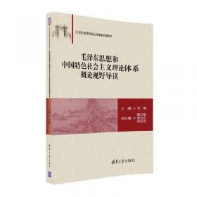 马克思主义核心概念的中国化进程及其当代价值/21世纪高等院校公共课系列教材