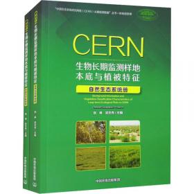 CEO内部控制：基业长青的奠基石（第二版）中国高级工商管理丛书 陈汉文著 新版