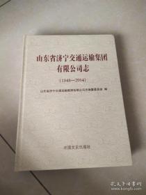 恐高（王玉珏卷）/文学鲁军新锐文丛