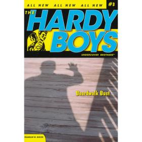Hardy Boys #15 Death and Diamonds 哈迪男孩15：生死钻石 