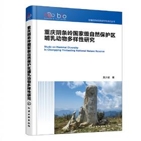 秘境探古：西藏文物考古新发现之旅
