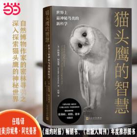 麦田里的守望者 纪念版