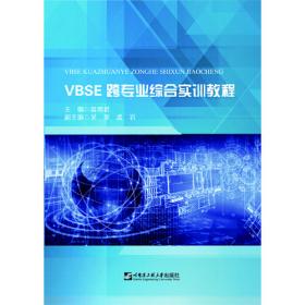VBSE跨专业综合实训(第2版)