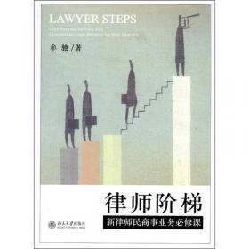 律师民商事业务必修课（第二版）