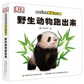 DK儿童艺术创想百科全书（套装全2册）