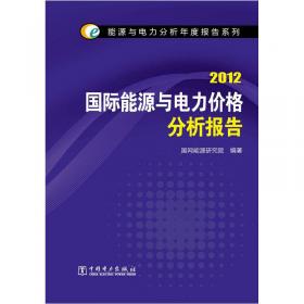 2010中国发电能源供需与电源发展分析报告
