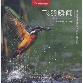 飞羽瞬间2：中国野生鸟类精彩图片选（第二卷）