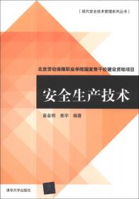 现代安全技术管理系列丛书：现代企业安全管理方法与实务（修订本）