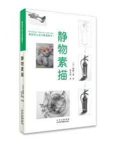 静物：陈丹青画册写生1998-2014