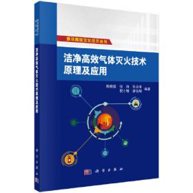 洁净煤技术与可持续发展——第八届国际煤燃烧学术会议论文集