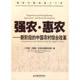强国之路：中国改革步入30年