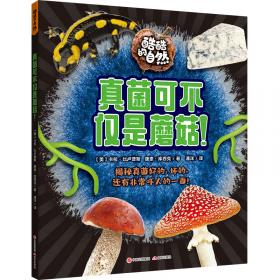 真菌茶（冈特生态童书第四辑）