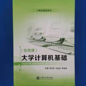 移动与冲击载荷激励浮冰层的响应特性 张志宏,胡明勇,李宇辰 著