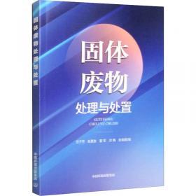 固体矿产勘查三维优化方法--基于R-TIN/GR-TIN勘查网和TTP-根3曲面细分