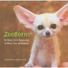 ZooBorns Cats!: The Newest, Cutest Kittens and Cubs from the World's Zoos