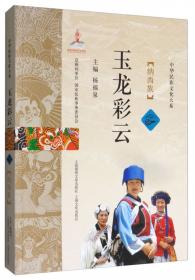 纳西学博士论文丛书：纳西族与藏族历史关系研究