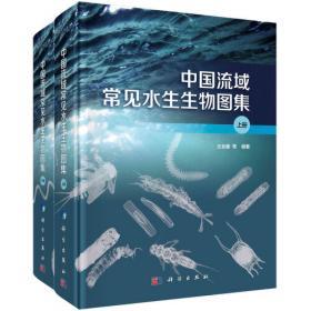 中国化工行业污泥污染现状及控制策略研究