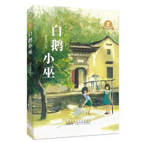 中国儿童文学走向世界精品书系：追风少年 英文版