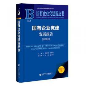 国有企业改革创新之路:唐村煤矿衰老再发展模式研究