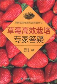 科技惠农一号工程 草莓高效栽培