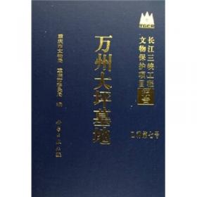 重庆市文化遗产书系：涪陵白鹤梁（长江三峡工程文物保护项目报告丙种第六号）
