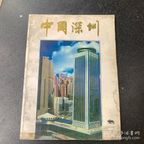 爱心永恒:纪念国际残疾人日暨世纪慈善募捐活动纪实