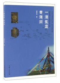 伊斯兰文明的中国之旅丛书：月光下的微笑