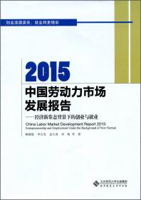 2015中国民生发展报告：法治民生