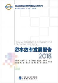 资本效率发展报告2017
