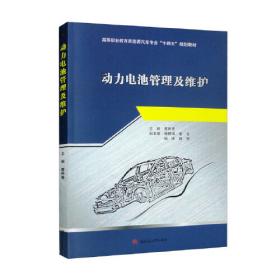 动力电池蓝皮书：中国新能源汽车动力电池产业发展报告（2020）