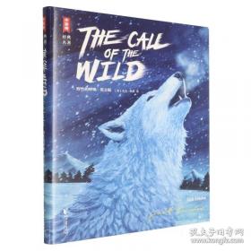 THE FEDERALIST PAPERS