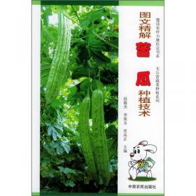 日本三樱椒栽培与加工——新世纪富民工程丛书