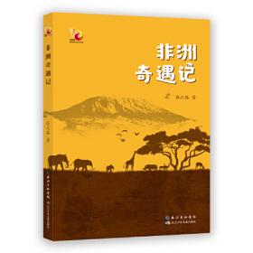 全国优秀儿童文学奖·大奖书系——有老鼠牌铅笔吗（分级阅读：3-4年级）